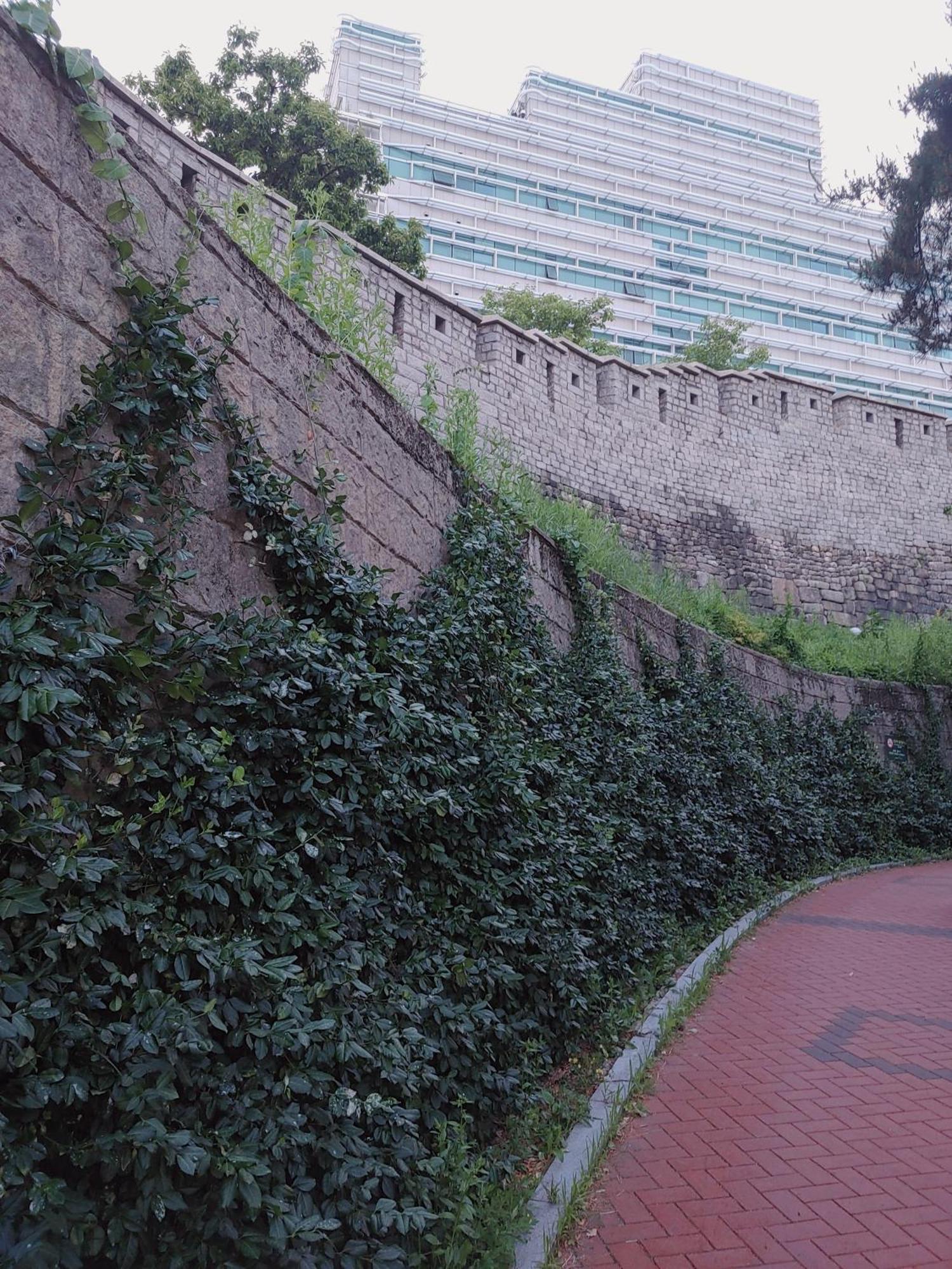סיאול Cobe Guesthouse Dongdaemun מראה חיצוני תמונה