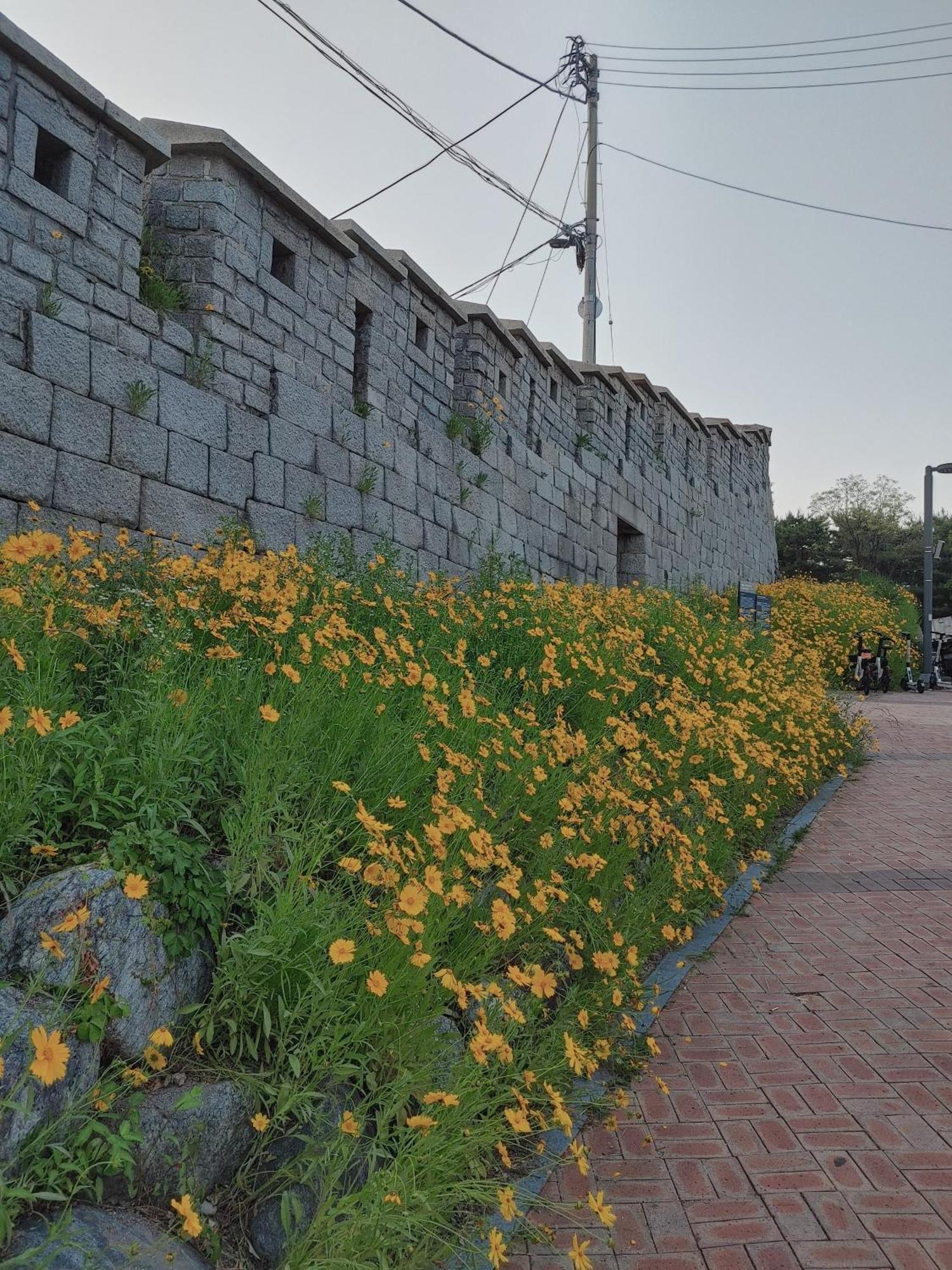 סיאול Cobe Guesthouse Dongdaemun מראה חיצוני תמונה